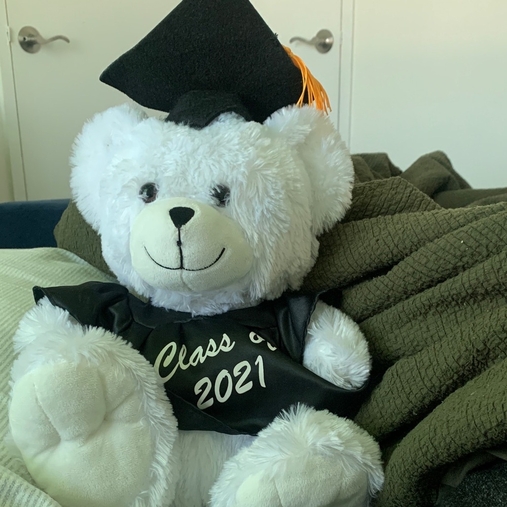 Graduation Teddy Bear with Cap and Gown